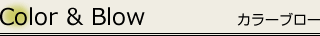 Color&Blow/カラーブロー