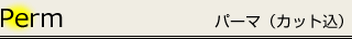 Perm/パーマ（カット込）